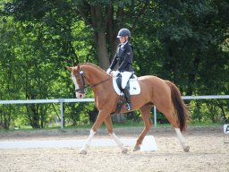 IMG_1127_web